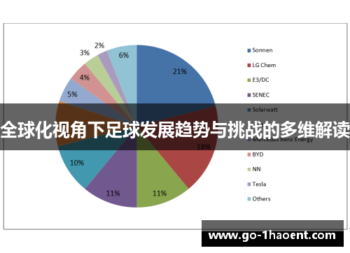 全球化视角下足球发展趋势与挑战的多维解读
