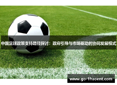 中国足球政策支持路径探讨：政府引导与市场驱动的协同发展模式