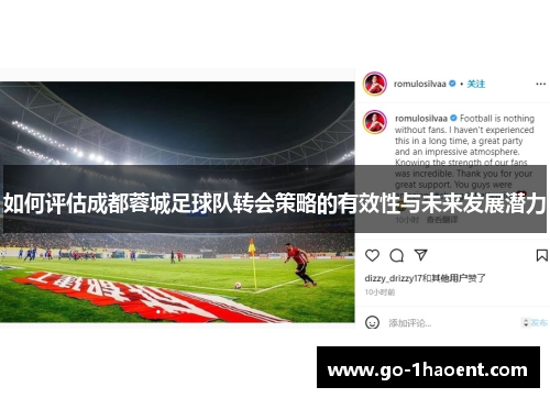 如何评估成都蓉城足球队转会策略的有效性与未来发展潜力