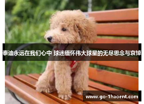 泰迪永远在我们心中 球迷缅怀伟大球星的无尽思念与哀悼