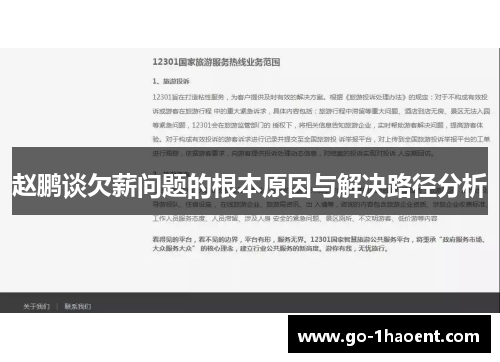 赵鹏谈欠薪问题的根本原因与解决路径分析