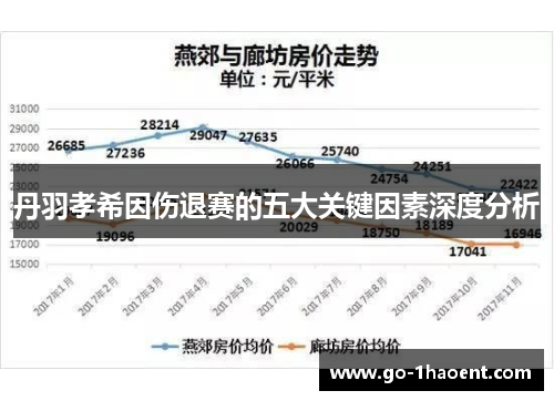 丹羽孝希因伤退赛的五大关键因素深度分析