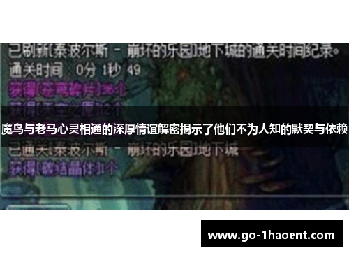 魔鸟与老马心灵相通的深厚情谊解密揭示了他们不为人知的默契与依赖