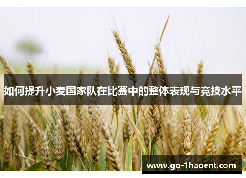 如何提升小麦国家队在比赛中的整体表现与竞技水平