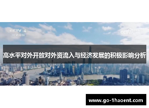 高水平对外开放对外资流入与经济发展的积极影响分析