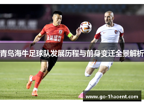 青岛海牛足球队发展历程与前身变迁全景解析