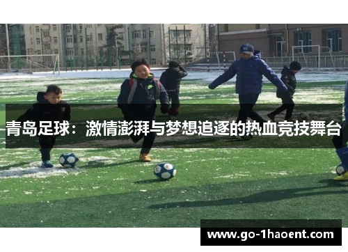 青岛足球：激情澎湃与梦想追逐的热血竞技舞台