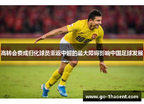高转会费成归化球员重返中超的最大障碍影响中国足球发展 高转会费成归化球员重返中超的最大障碍影响中国足球发展